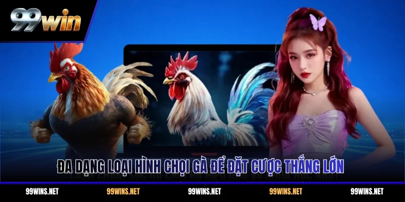 Đa dạng loại hình chọi gà để đặt cược thắng lớn
