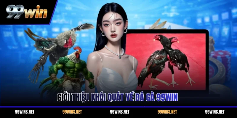 Giới thiệu khái quát về đá gà 99WIN