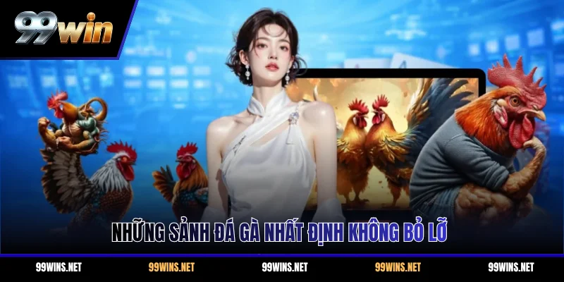 Những sảnh đá gà nhất định không bỏ lỡ
